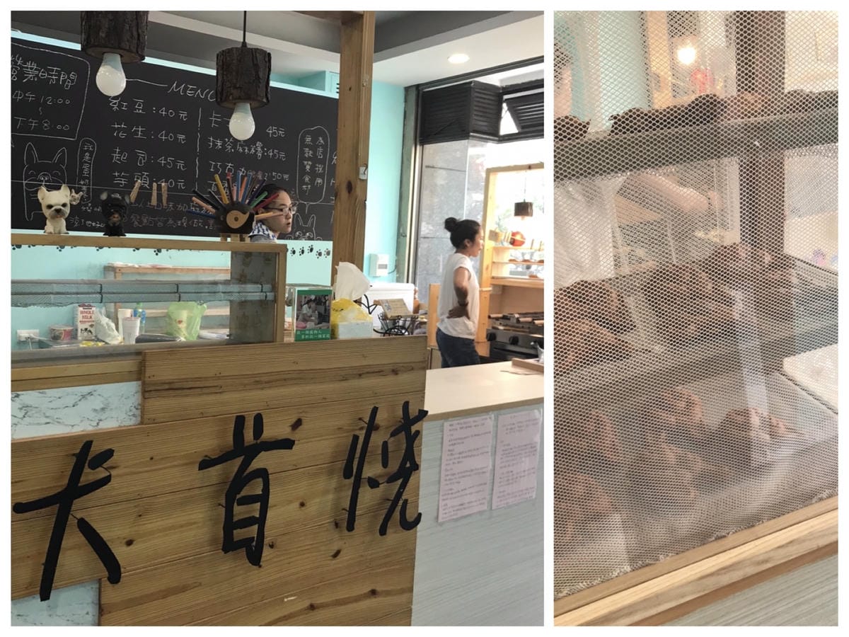 [吃] 犬首燒－新竹甜點下午茶 無麩質法鬥造型 雞蛋糕