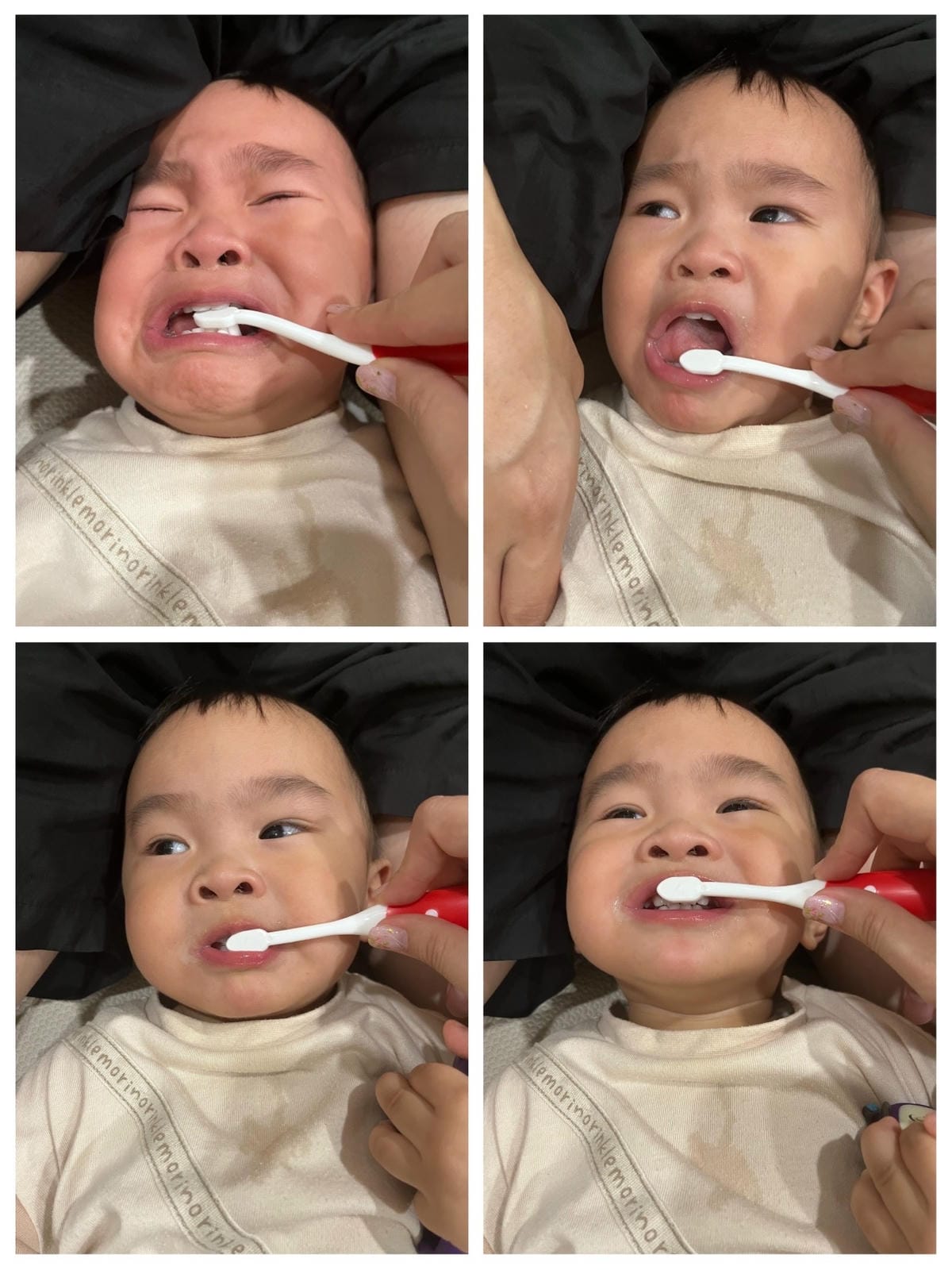 [育] 嬰幼兒益生菌推薦 – Lab52齒妍堂 ABD寶貝盾