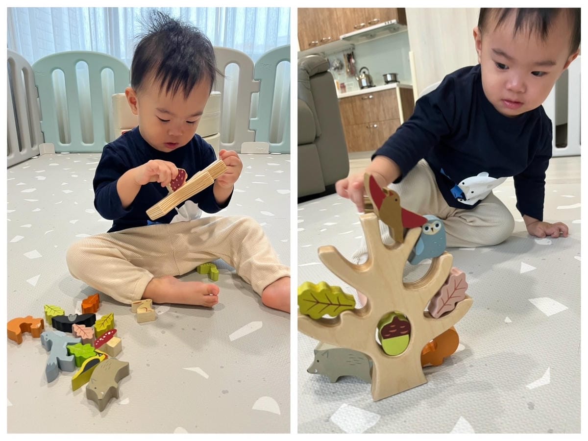 [育] 幼兒木製玩具 – 美國Tender Leaf 精美安