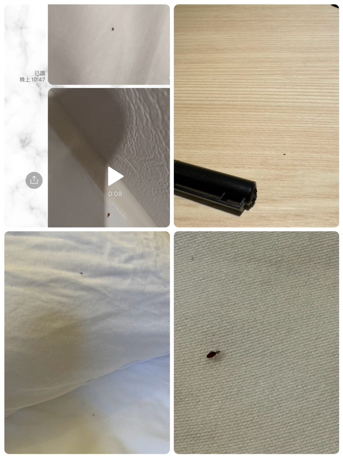 [孕] 最後一次入住月中 - 開箱！幸福玥產後護理之家 新竹