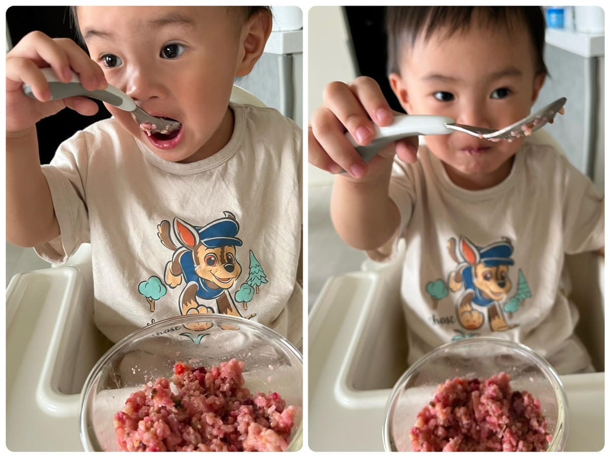 [育] 料多好吃 種類豐富的副食品 - 日初禾作 嬰幼兒餐點