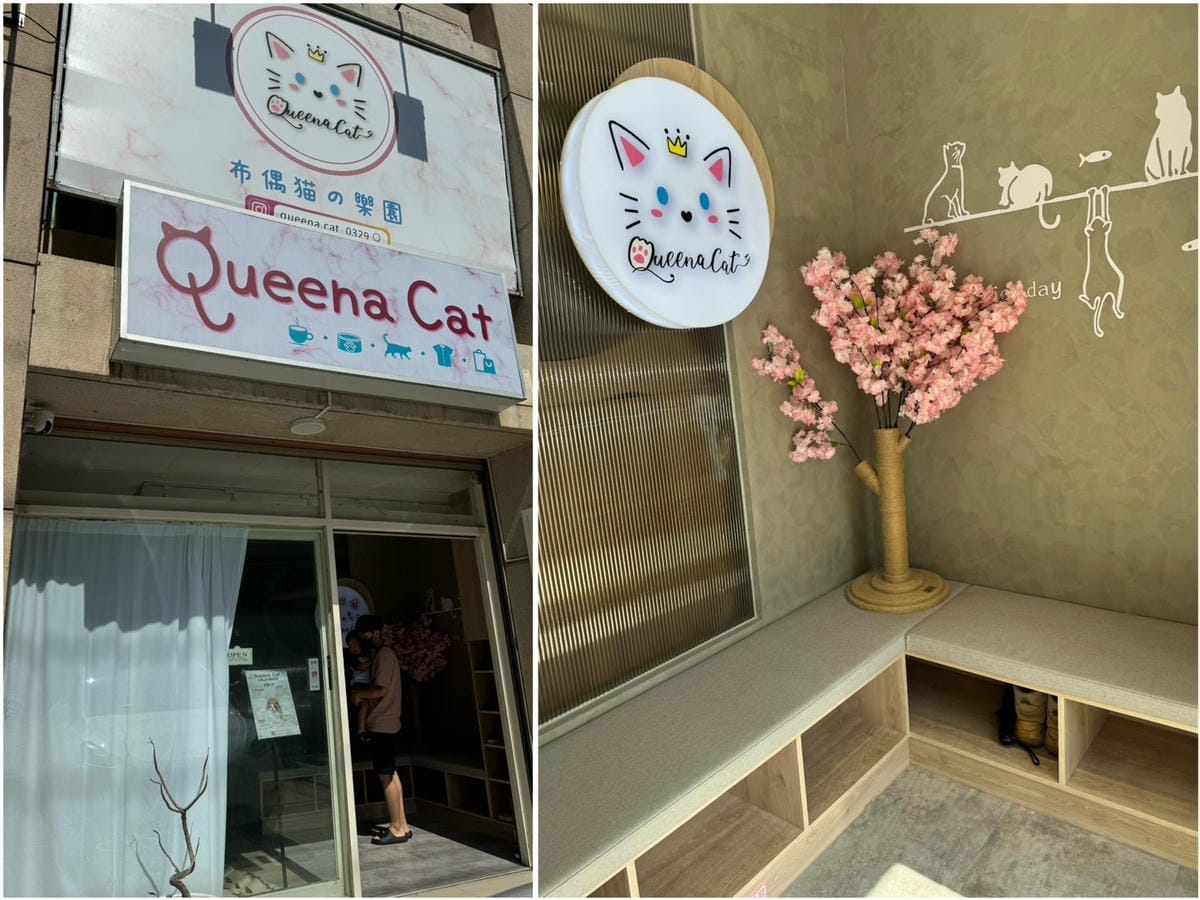 [旅] 被布偶貓圍繞的療癒咖啡廳 - Queena Cat 