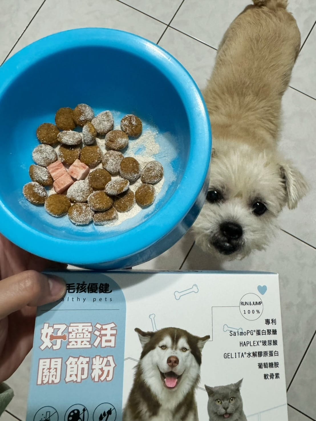 毛孩優健 好靈活關節粉 - 貓狗關節顧好好 敏捷跑跳沒煩惱.