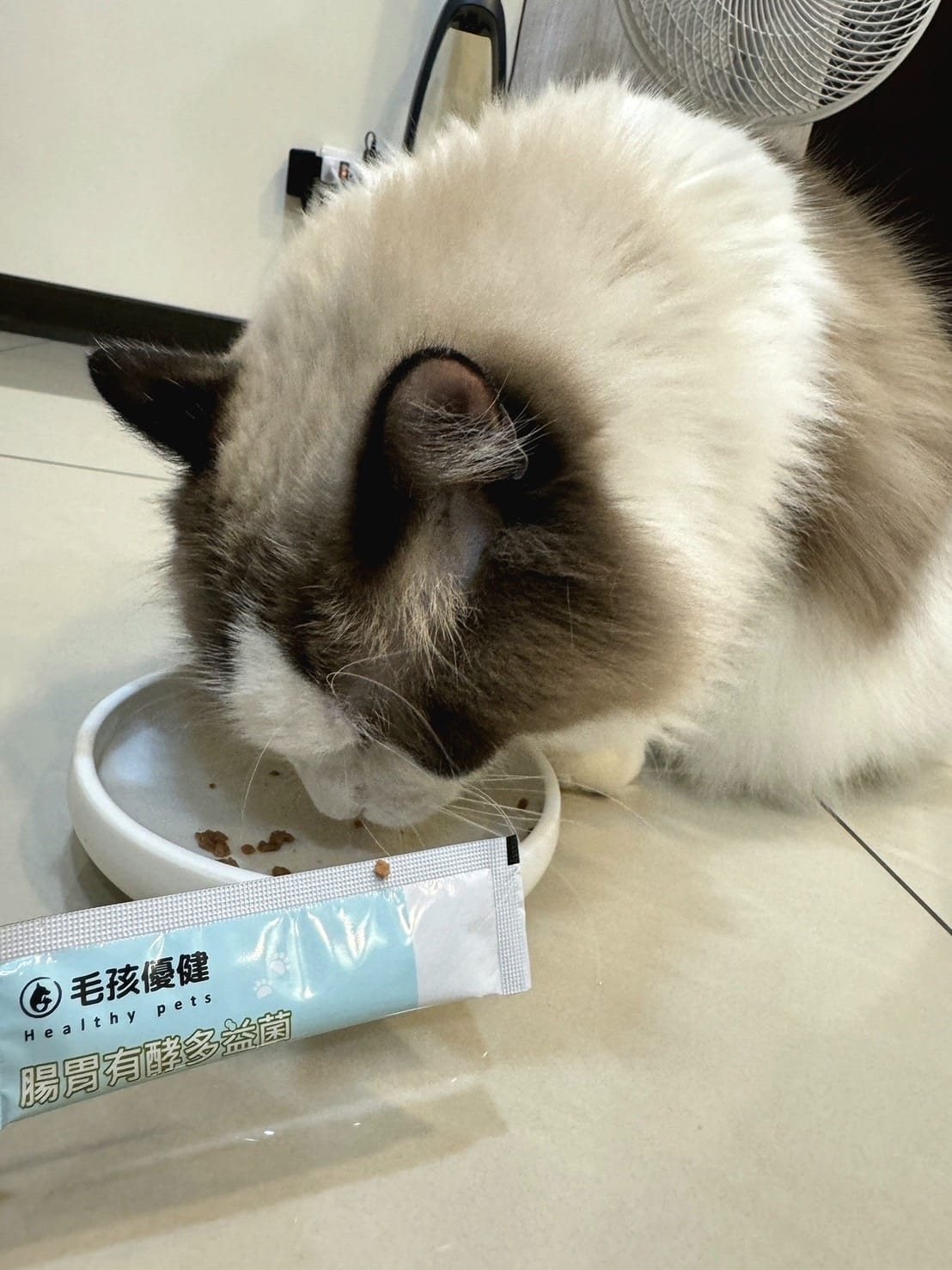 毛孩優健 腸胃有酵多益菌 - 順暢不卡卡 肚子舒服消化好 毛孩優健 腸胃有酵多益菌 - 順暢不卡卡 肚子舒服消化好