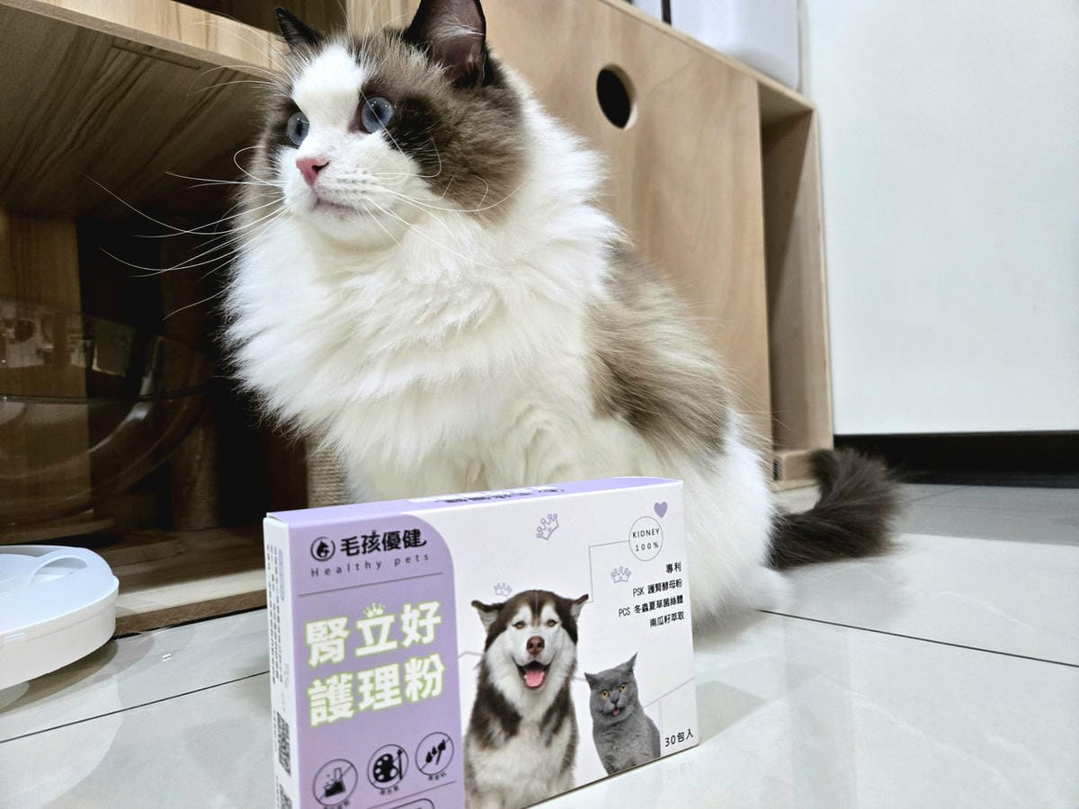 毛孩優健 腎立好護理粉 - 照顧貓狗腎臟 提早保養遠離毛病 毛孩優健 腎立好護理粉 - 照顧貓狗腎臟 提早保養遠離毛病