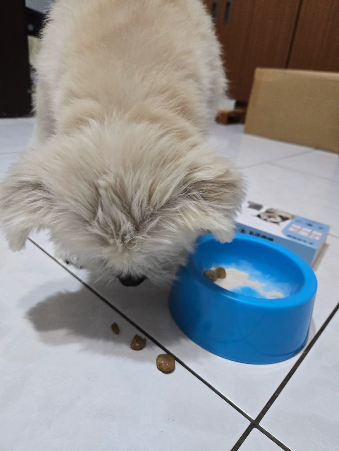 毛孩優健 好靈活關節粉 - 貓狗關節顧好好 敏捷跑跳沒煩惱.