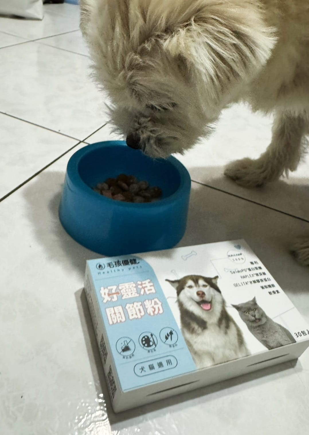 毛孩優健 好靈活關節粉 - 貓狗關節顧好好 敏捷跑跳沒煩惱.