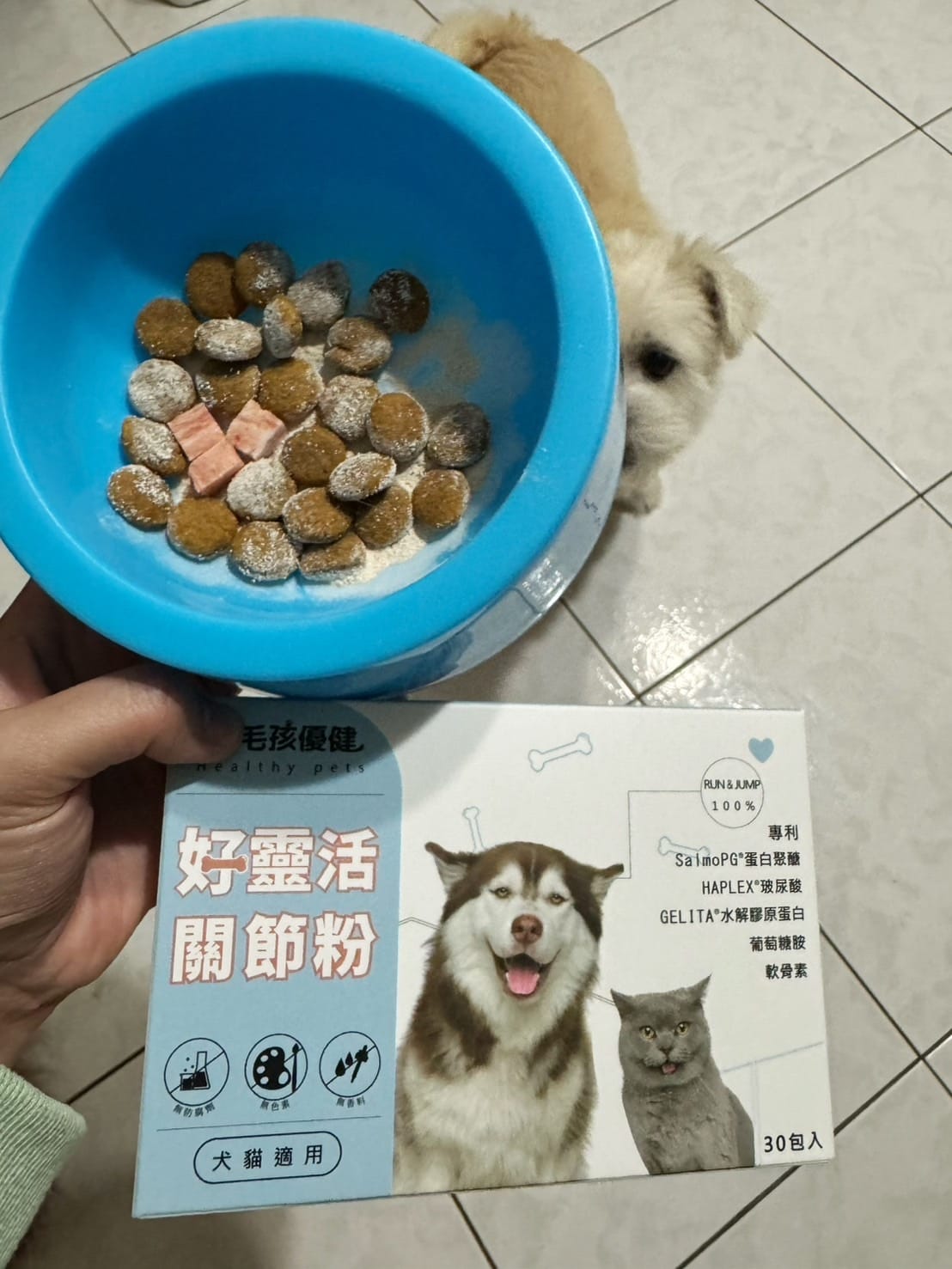 毛孩優健 好靈活關節粉 - 貓狗關節顧好好 敏捷跑跳沒煩惱.