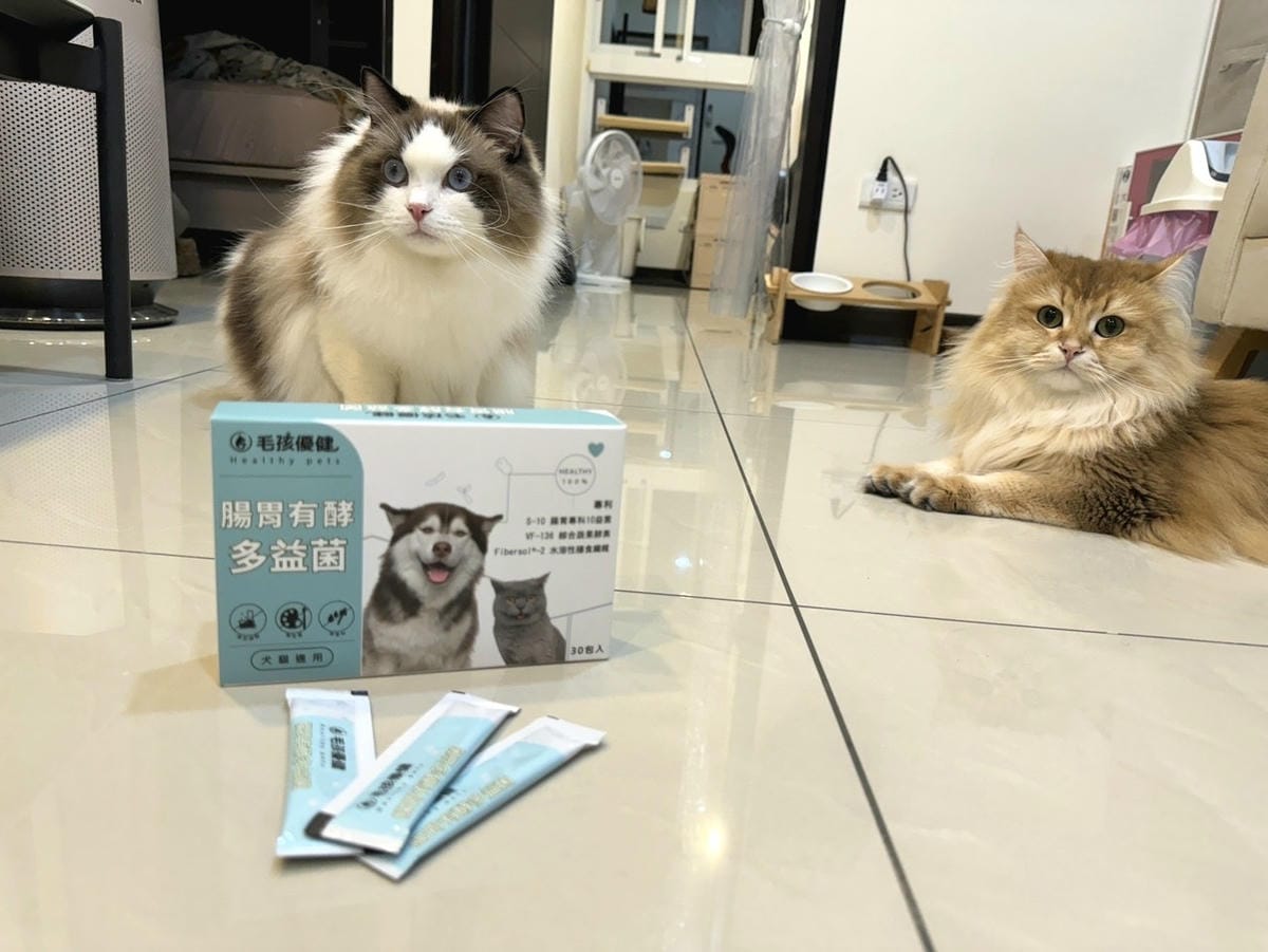 毛孩優健 腸胃有酵多益菌 - 順暢不卡卡 肚子舒服消化好 毛孩優健 腸胃有酵多益菌 - 順暢不卡卡 肚子舒服消化好