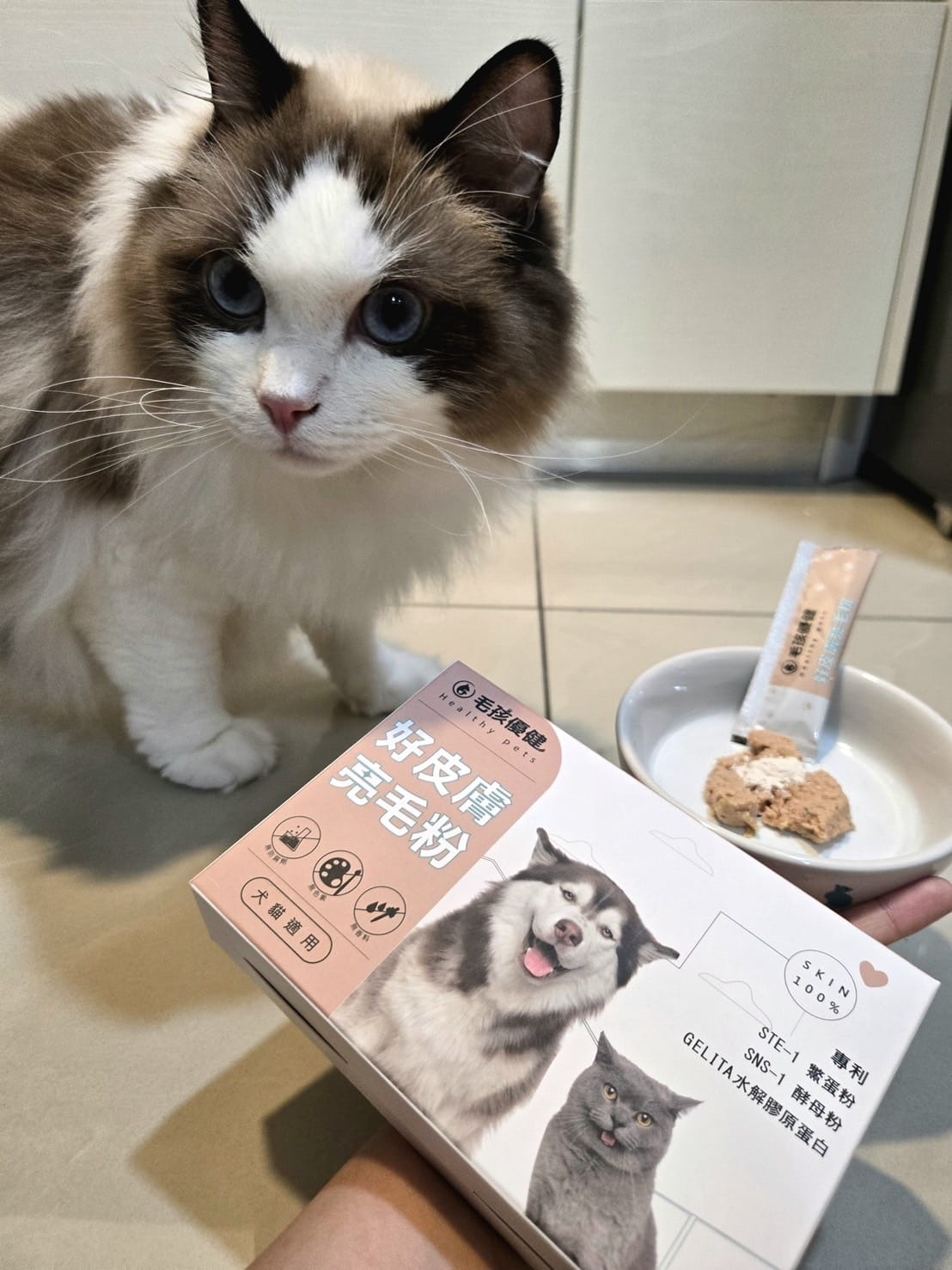 毛孩優健 好皮膚亮毛粉 - 貓狗的頂級毛髮護理 亮毛護膚維持 毛孩優健 好皮膚亮毛粉 - 貓狗的頂級毛髮護理 亮毛護膚維持