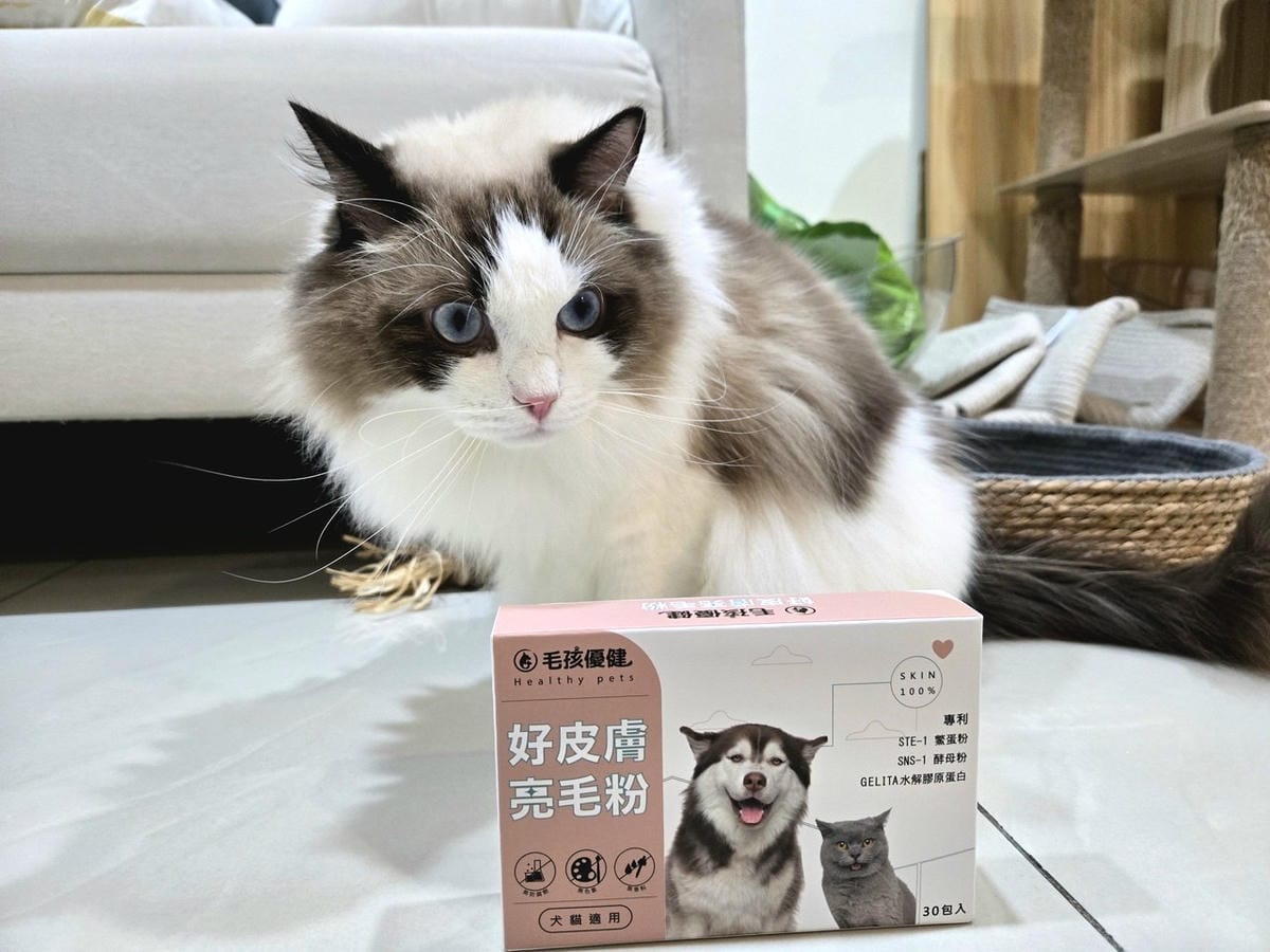 毛孩優健 好皮膚亮毛粉 - 貓狗的頂級毛髮護理 亮毛護膚維持 毛孩優健 好皮膚亮毛粉 - 貓狗的頂級毛髮護理 亮毛護膚維持
