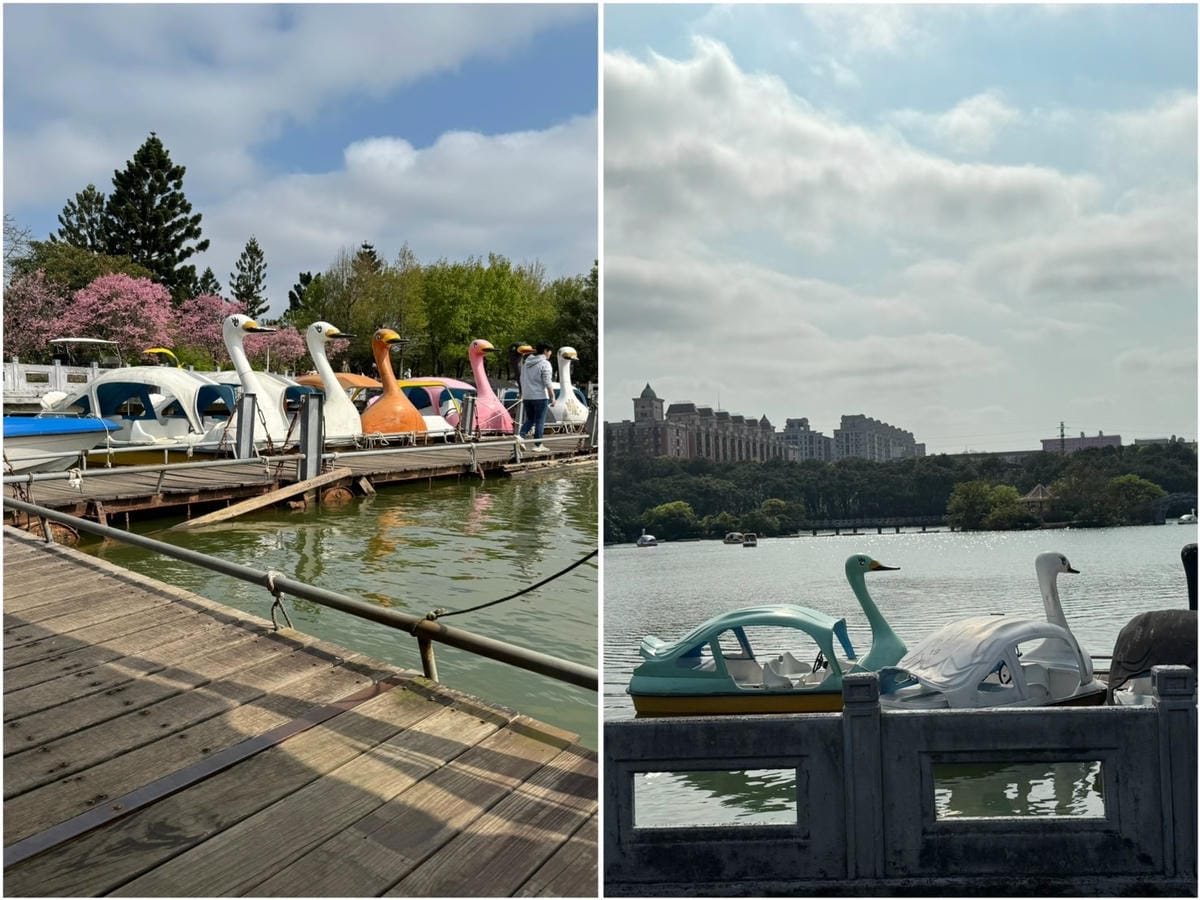 [旅] 親子露營免裝備.ᐟ 牛仔星村 豪華露營車屋推薦 一泊