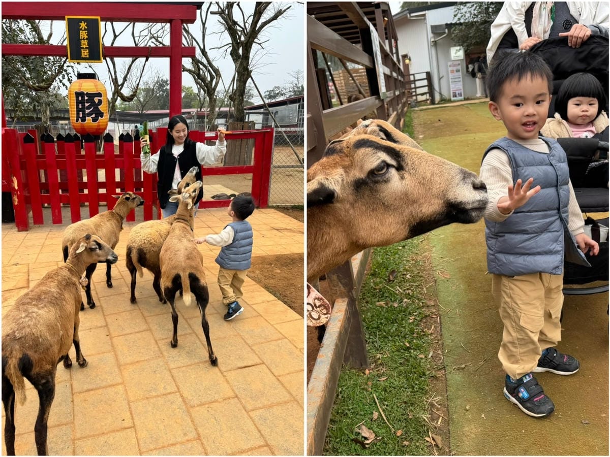 [旅] 親子露營免裝備.ᐟ 牛仔星村 豪華露營車屋推薦 一泊