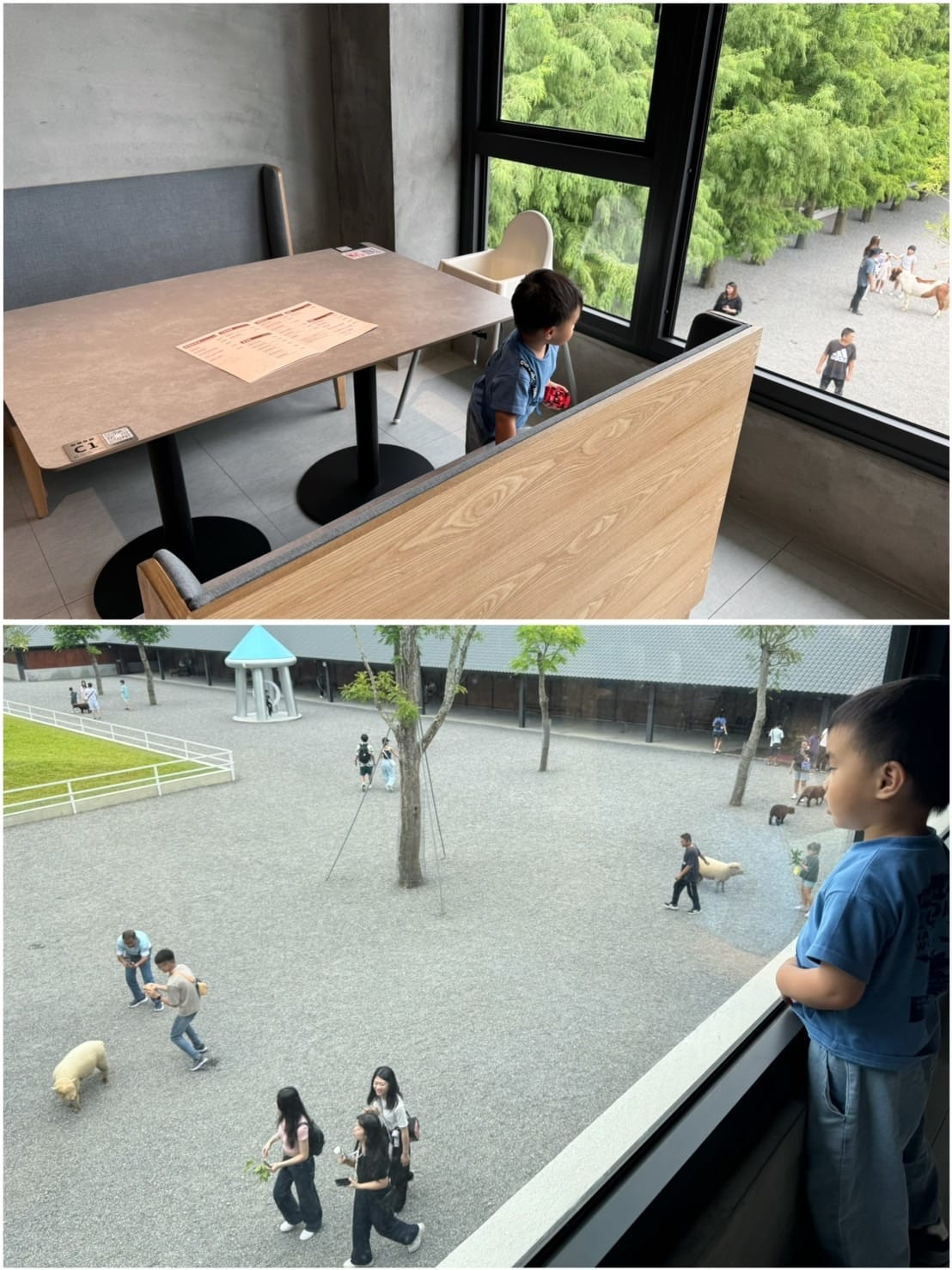 [旅] 宜蘭親子餐廳 互動農場推薦 - 樹懶餐廳 萌寵樂園.