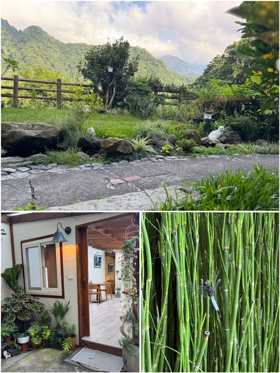 [旅] 苗栗南庄 山林民宿、咖啡廳推薦 - 山行寄野民宿、山