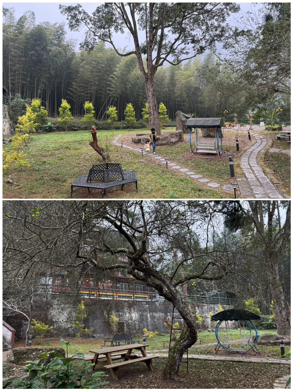 [旅] 溪頭住宿推薦 親子家庭房 – 金台灣山莊民宿 原木景觀套房 一泊二食