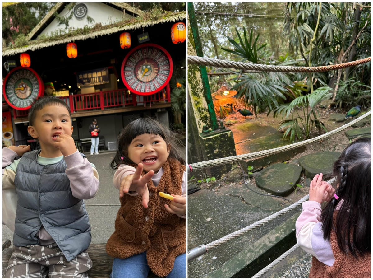 [旅] 溪頭住宿推薦 親子家庭房 – 金台灣山莊民宿 原木景觀套房 一泊二食