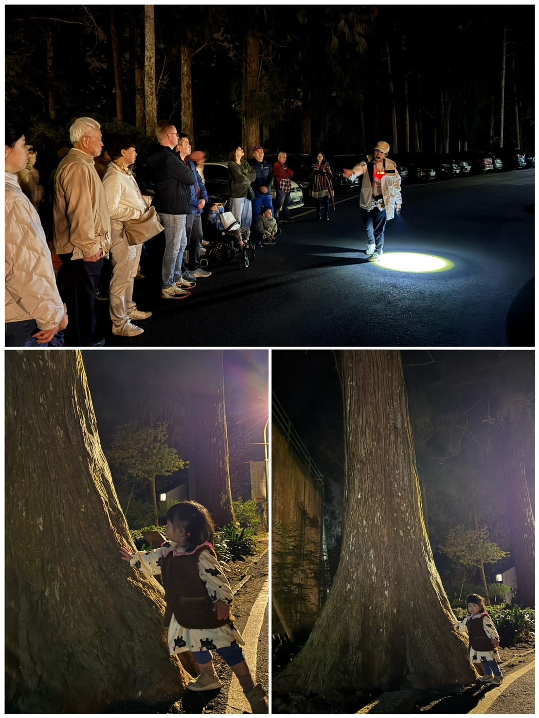 [旅] 溪頭住宿推薦 親子家庭房 – 金台灣山莊民宿 原木景觀套房 一泊二食