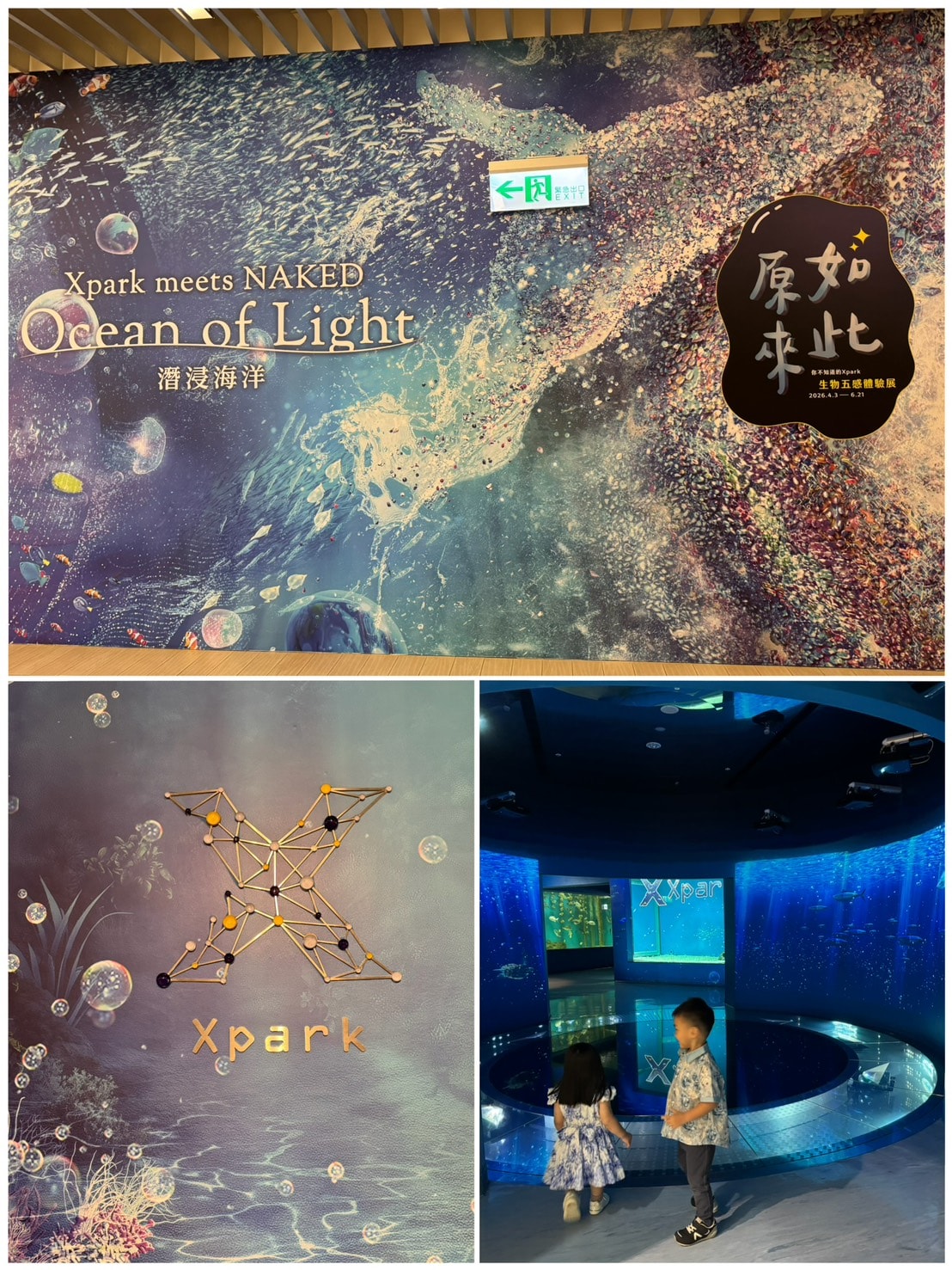 [旅] 桃園高鐵、青埔特區 親子一日遊.ᐟ Xpark 五感體驗活動 雨天室內景點