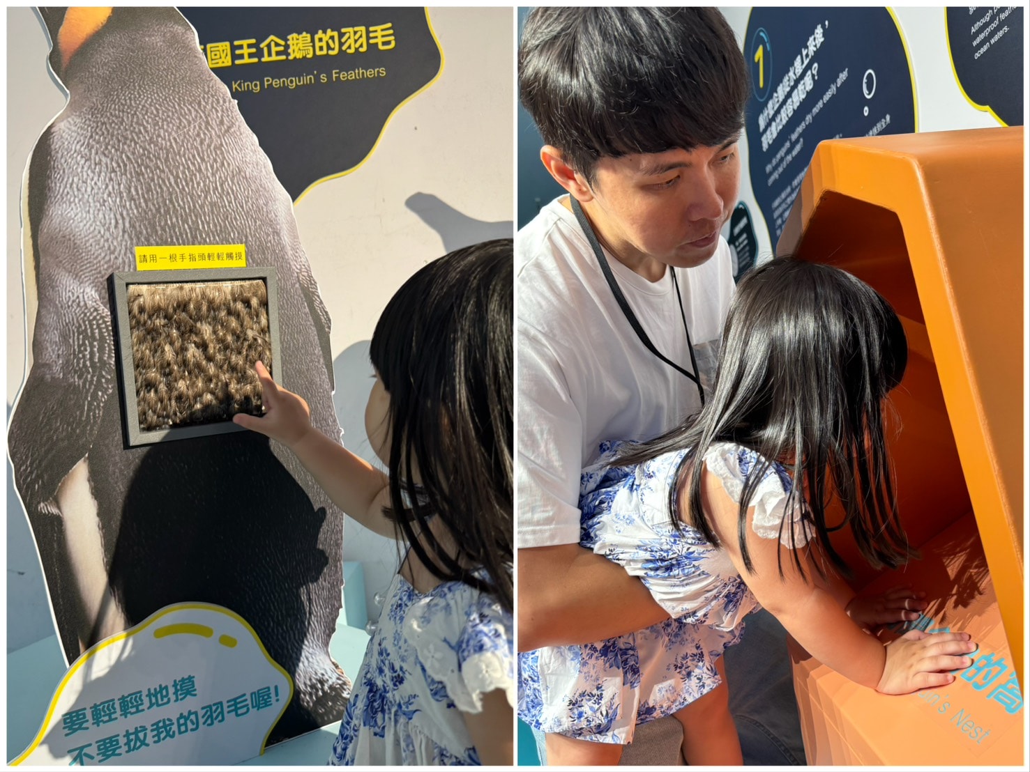 [旅] 桃園高鐵、青埔特區 親子一日遊.ᐟ Xpark 五感體驗活動 雨天室內景點